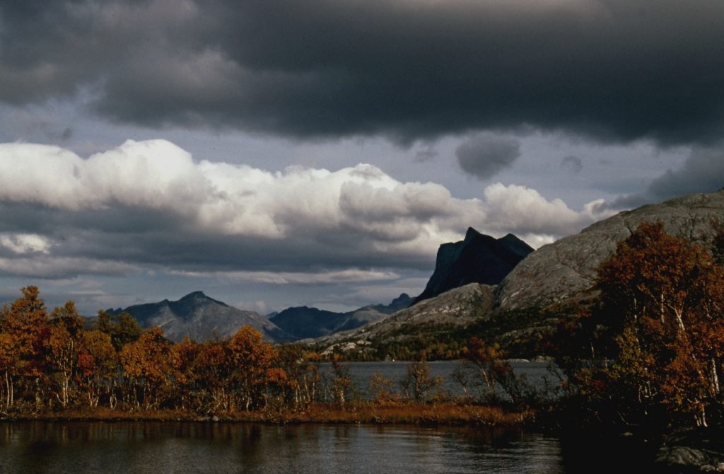 Honor the Creator by honoring the Creation.